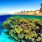 Croisières En Mer Inoubliables à Yanbu