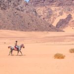 Balade à Cheval à Wadi al Bayda